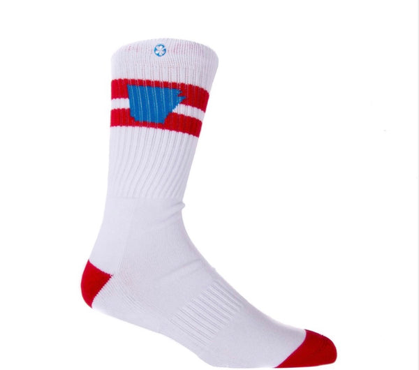 Tailgater (Varsity Red/Cyan)