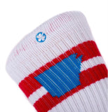 Tailgater (Varsity Red/Cyan)