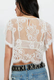 Free People Lunar Ash Lace Top Clean Ivory