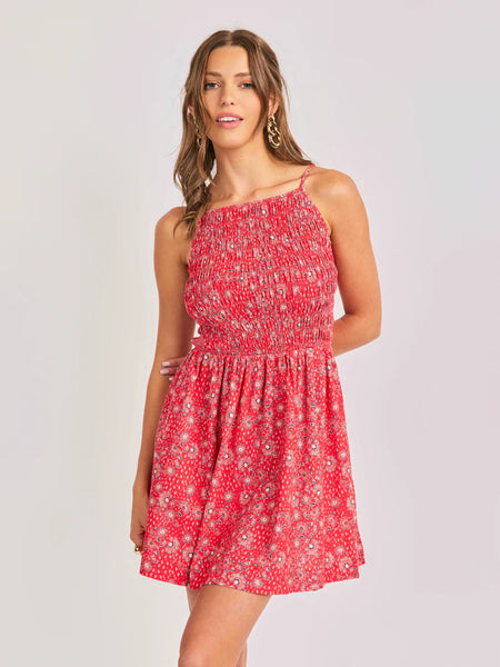 Red Multi Firecracker Mini Dress