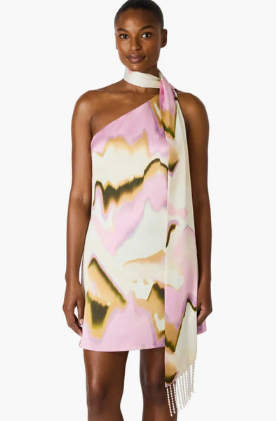 Steve Madden Charlie Dress Multi