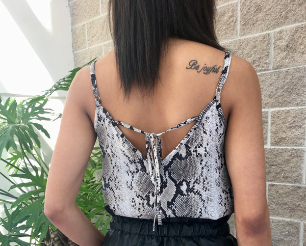 Gray Snake Tank